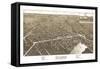 Delavan, Wisconsin - Panoramic Map-Lantern Press-Framed Stretched Canvas