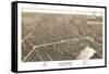 Delavan, Wisconsin - Panoramic Map-Lantern Press-Framed Stretched Canvas