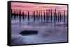 Delaware Bay Sunrise-michaelmill-Framed Stretched Canvas