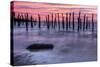 Delaware Bay Sunrise-michaelmill-Stretched Canvas