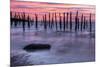 Delaware Bay Sunrise-michaelmill-Mounted Photographic Print