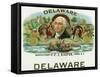 Delaware Brand Cigar Box Label-Lantern Press-Framed Stretched Canvas