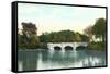 Delaware Park, Buffalo, New York-null-Framed Stretched Canvas