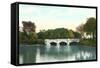 Delaware Park, Buffalo, New York-null-Framed Stretched Canvas