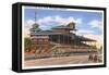 Delaware Park Race Track, Wilmington, Delaware-null-Framed Stretched Canvas