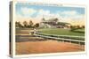 Delaware Park Race Track, Wilmington, Delaware-null-Stretched Canvas