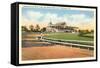 Delaware Park Race Track, Wilmington, Delaware-null-Framed Stretched Canvas