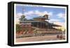 Delaware Park Race Track, Wilmington, Delaware-null-Framed Stretched Canvas