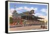 Delaware Park Race Track, Wilmington, Delaware-null-Framed Stretched Canvas