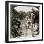 Delaware: Peach Orchard-null-Framed Giclee Print