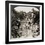 Delaware: Peach Orchard-null-Framed Giclee Print