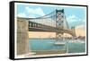 Delaware River Bridge, Philadelphia, Pennsylvania-null-Framed Stretched Canvas