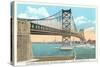 Delaware River Bridge, Philadelphia, Pennsylvania-null-Stretched Canvas