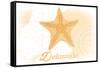 Delaware - Starfish - Yellow - Coastal Icon-Lantern Press-Framed Stretched Canvas