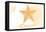 Delaware - Starfish - Yellow - Coastal Icon-Lantern Press-Framed Stretched Canvas