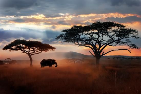 Premium Photographic Print, , large