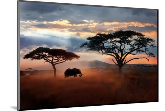 Photographic Print, , large