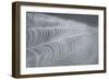 Delecate Impressions of Nature-Adrian Campfield-Framed Photographic Print