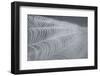 Delecate Impressions of Nature-Adrian Campfield-Framed Photographic Print