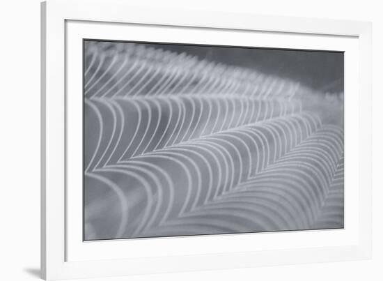 Delecate Impressions of Nature-Adrian Campfield-Framed Photographic Print