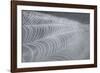 Delecate Impressions of Nature-Adrian Campfield-Framed Photographic Print