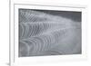 Delecate Impressions of Nature-Adrian Campfield-Framed Photographic Print