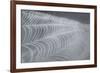 Delecate Impressions of Nature-Adrian Campfield-Framed Photographic Print