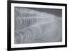 Delecate Impressions of Nature-Adrian Campfield-Framed Photographic Print