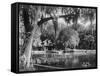Deleon Springs, Florida - Scenic View-Lantern Press-Framed Stretched Canvas