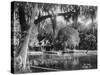 Deleon Springs, Florida - Scenic View-Lantern Press-Stretched Canvas