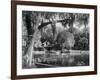 Deleon Springs, Florida - Scenic View-Lantern Press-Framed Art Print