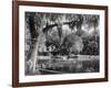 Deleon Springs, Florida - Scenic View-Lantern Press-Framed Art Print