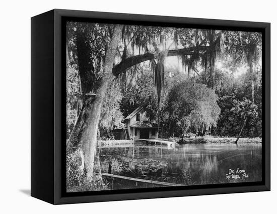 Deleon Springs, Florida - Scenic View-Lantern Press-Framed Stretched Canvas