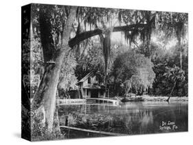 Deleon Springs, Florida - Scenic View-Lantern Press-Stretched Canvas