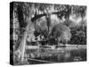 Deleon Springs, Florida - Scenic View-Lantern Press-Stretched Canvas