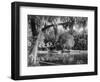 Deleon Springs, Florida - Scenic View-Lantern Press-Framed Art Print