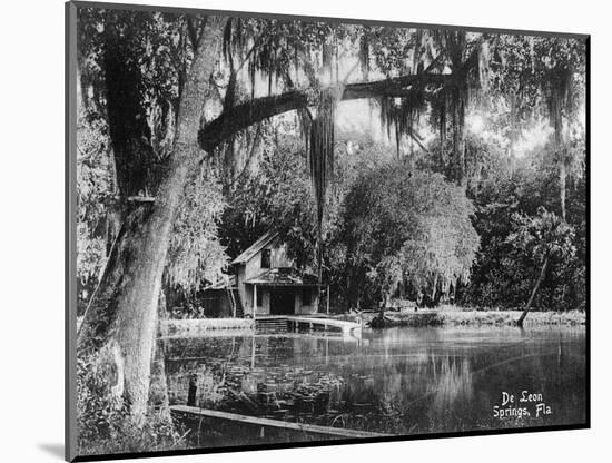 Deleon Springs, Florida - Scenic View-Lantern Press-Mounted Art Print