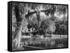 Deleon Springs, Florida - Scenic View-Lantern Press-Framed Stretched Canvas