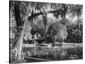 Deleon Springs, Florida - Scenic View-Lantern Press-Stretched Canvas