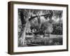 Deleon Springs, Florida - Scenic View-Lantern Press-Framed Art Print