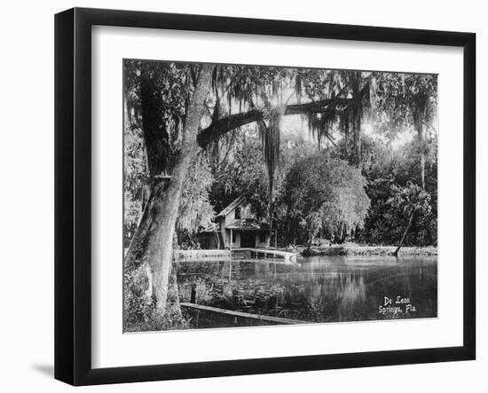 Deleon Springs, Florida - Scenic View-Lantern Press-Framed Art Print