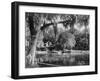 Deleon Springs, Florida - Scenic View-Lantern Press-Framed Art Print