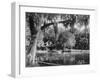 Deleon Springs, Florida - Scenic View-Lantern Press-Framed Art Print