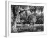 Deleon Springs, Florida - Scenic View-Lantern Press-Framed Art Print