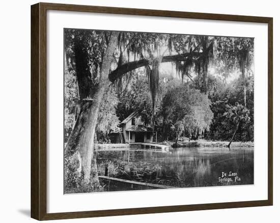 Deleon Springs, Florida - Scenic View-Lantern Press-Framed Art Print