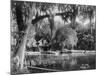 Deleon Springs, Florida - Scenic View-Lantern Press-Mounted Art Print