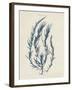 Delesseria Hypoglossum-Henry Bradbury-Framed Giclee Print