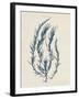 Delesseria Hypoglossum-Henry Bradbury-Framed Giclee Print