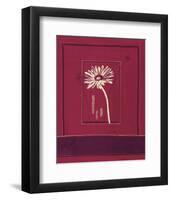 Delhi Daisy-Gaelle Cicarda-Framed Art Print