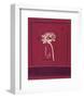 Delhi Daisy-Gaelle Cicarda-Framed Art Print